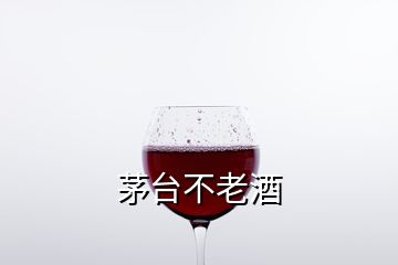 茅臺不老酒