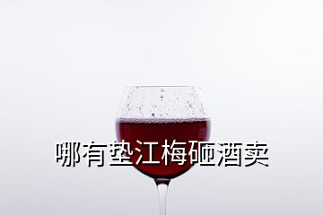 哪有墊江梅砸酒賣