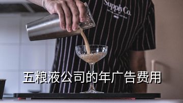 五糧液公司的年廣告費用