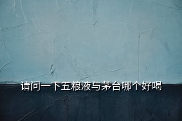 請(qǐng)問(wèn)一下五糧液與茅臺(tái)哪個(gè)好喝