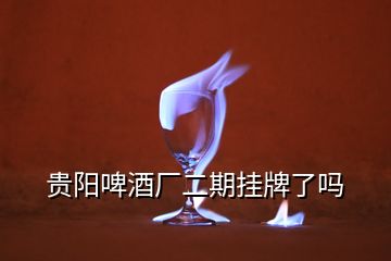 貴陽(yáng)啤酒廠二期掛牌了嗎