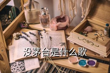 沒(méi)茅臺(tái)是什么歌