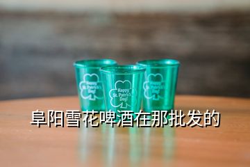 阜陽雪花啤酒在那批發(fā)的