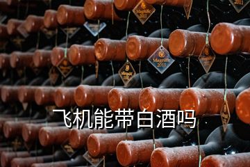 飛機(jī)能帶白酒嗎