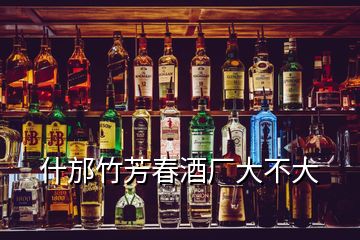 什邡竹芳春酒廠大不大