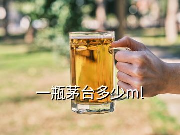 一瓶茅臺多少ml