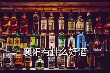 襄陽有什么好酒