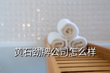 黃石勁牌公司怎么樣