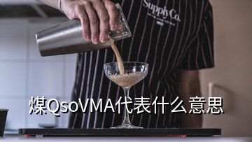 煤QsoVMA代表什么意思