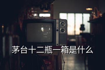 茅臺(tái)十二瓶一箱是什么