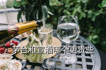 茅臺(tái)和宣酒哪個(gè)更貴些