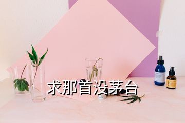 求那首沒茅臺