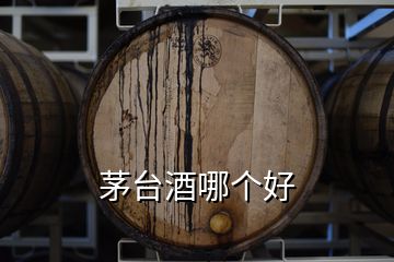 茅臺(tái)酒哪個(gè)好