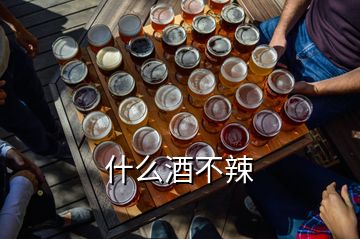 什么酒不辣