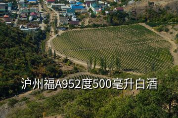 滬州福A952度500毫升白酒