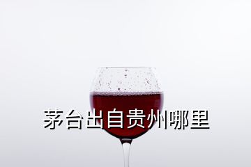 茅臺出自貴州哪里