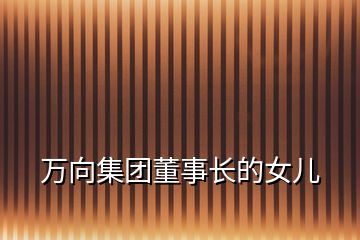 萬(wàn)向集團(tuán)董事長(zhǎng)的女兒