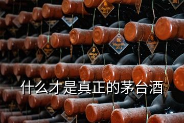 什么才是真正的茅臺酒