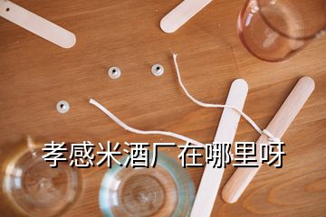 孝感米酒廠在哪里呀