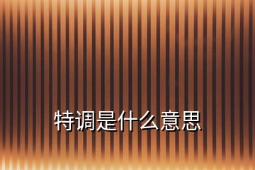 特調(diào)是什么意思