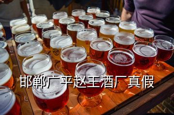 邯鄲廣平趙王酒廠真假