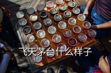 飛天茅臺(tái)什么樣子