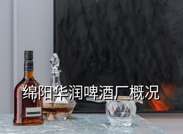 綿陽華潤啤酒廠概況