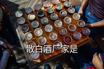 散白酒廠家是