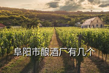 阜陽市釀酒廠有幾個