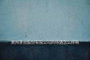 貴州茅臺股份有限公司的待遇怎么樣啊