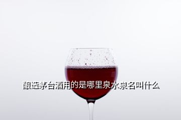 釀造茅臺酒用的是哪里泉水泉名叫什么