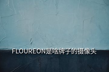 FLOUREON是啥牌子的攝像頭