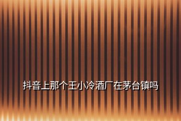 抖音上那個王小冷酒廠在茅臺鎮(zhèn)嗎