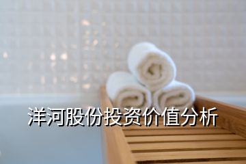 洋河股份投資價(jià)值分析