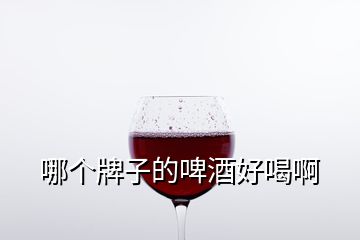 哪個牌子的啤酒好喝啊