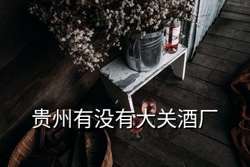 貴州有沒有大關(guān)酒廠