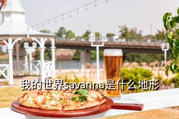 我的世界savanna是什么地形