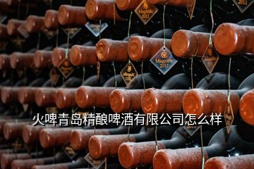 火啤青島精釀啤酒有限公司怎么樣