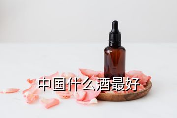 中國(guó)什么酒最好