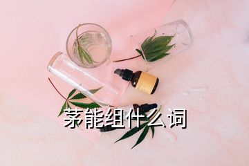 茅能組什么詞