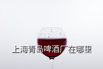 上海青島啤酒廠在哪里