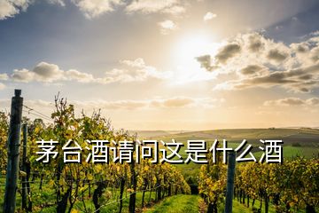 茅臺(tái)酒請(qǐng)問這是什么酒