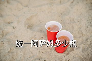 統(tǒng)一阿薩姆多少瓶