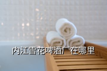 內江雪花啤酒廠在哪里