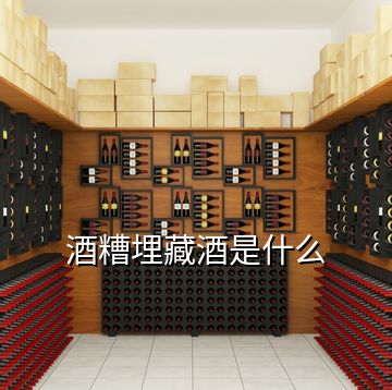 酒糟埋藏酒是什么