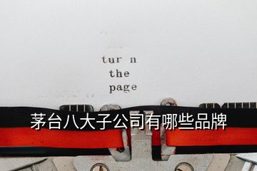 茅臺八大子公司有哪些品牌