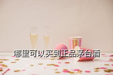 哪里可以買到正品茅臺(tái)酒