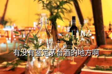 有沒(méi)有鑒定茅臺(tái)酒的地方啊