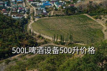 500L啤酒設(shè)備500升價格