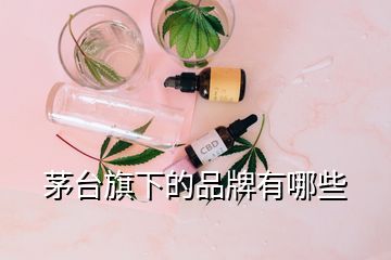 茅臺旗下的品牌有哪些